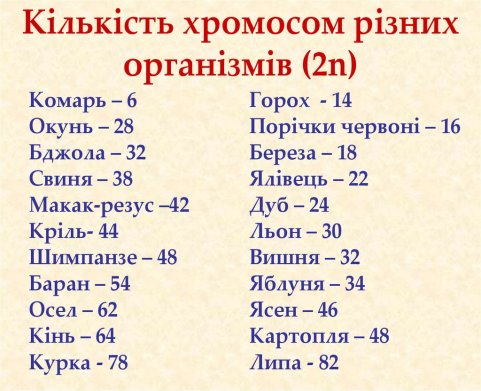 Кількість хромосом різних організмів (2n)